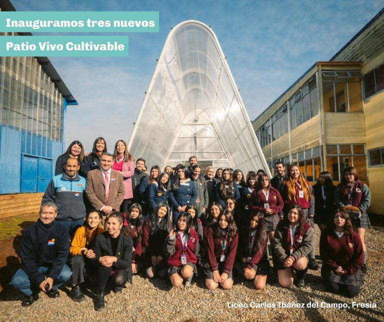 Red Patio Vivo Cultivable se expande en Los Lagos con tres nuevos invernaderos educativos