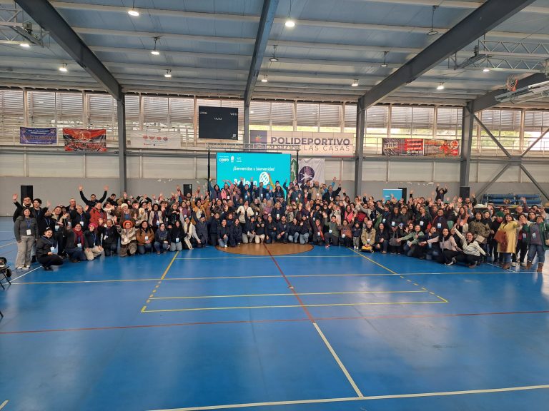 Programa Balloon Internacional Araucanía capacitó a 159 emprendedores locales con apoyo agentes de cambio latinoamericanos
